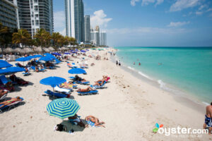 迈阿密新港海滨酒店和度假村的海滩/牡蛎