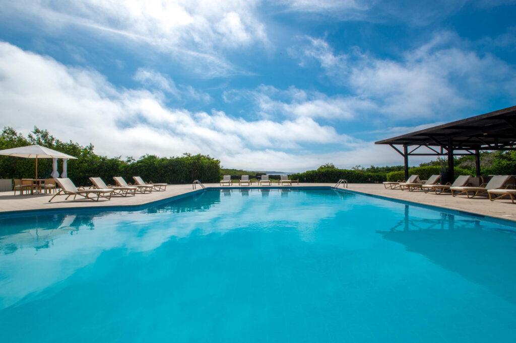 芬奇湾生态酒店的游泳池