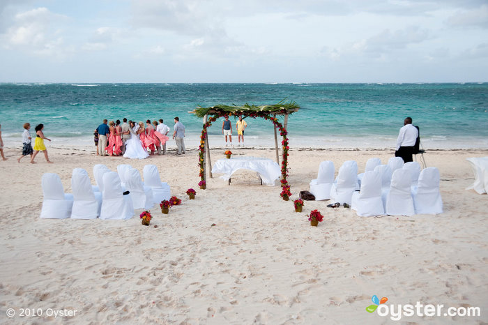 婚礼在海滩上,米利亚热带水虎鱼