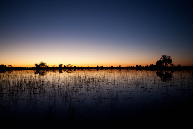以及超越Xaranna Okavango三角洲营地/牡蛎