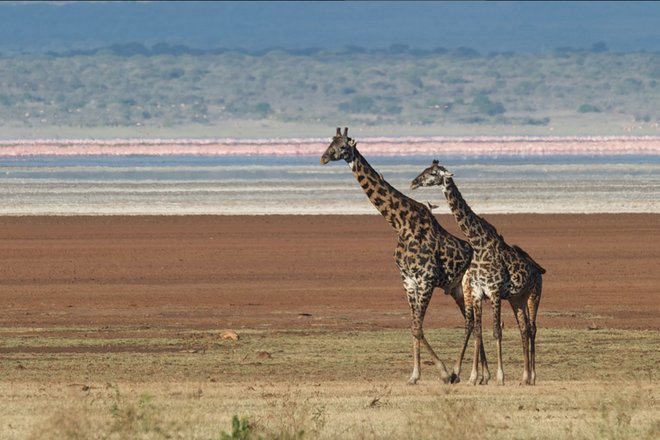 坦桑尼亚:不需要Photoshop(照片由拉里·约翰逊)