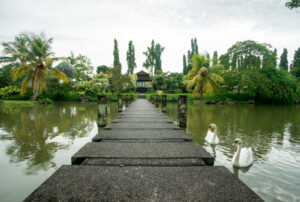 The Chedi Club Tanah Gajah a GHM酒店/Oyster