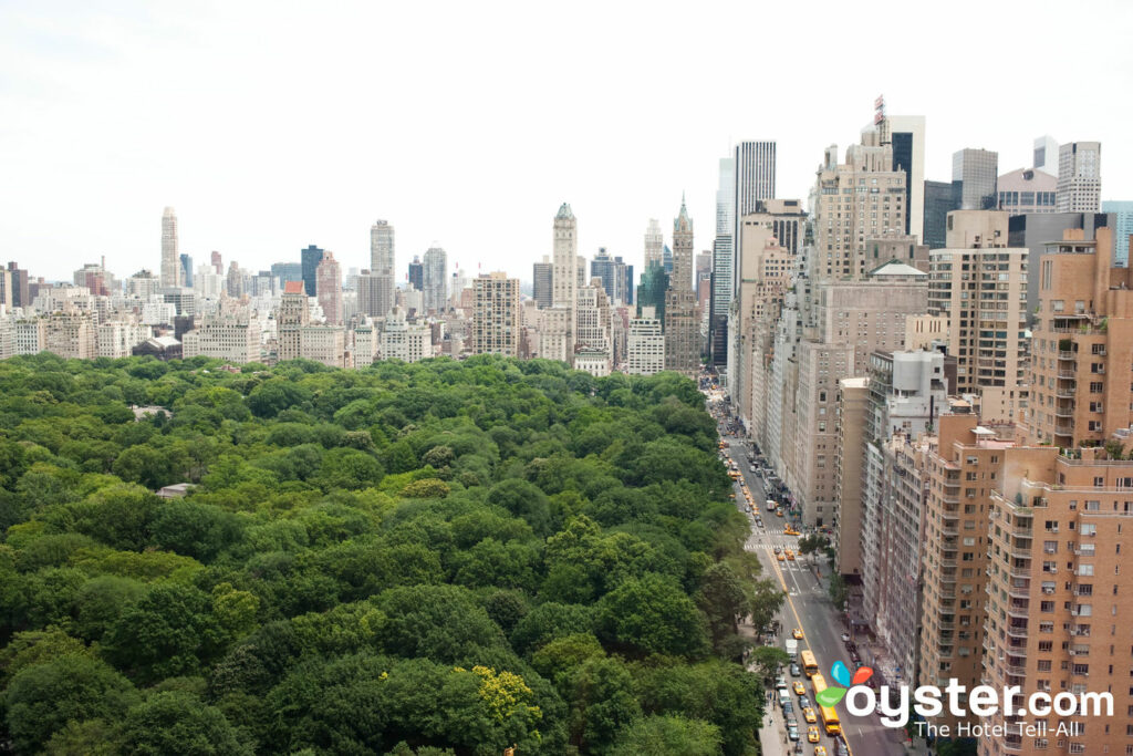 Vue de Central Park，纽约市