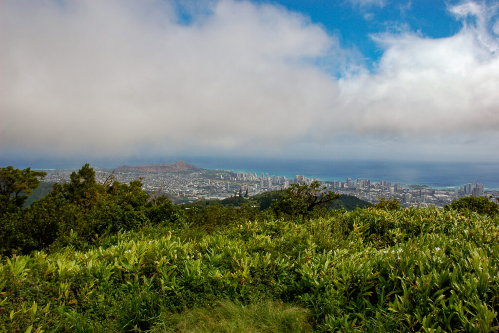 从夏威夷檀香山的坦塔罗斯山上俯瞰